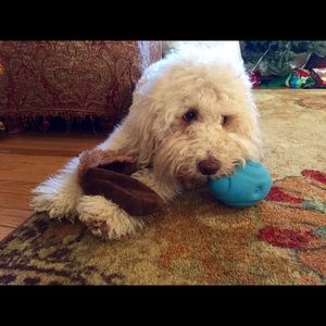 Meet your Posher, Joan